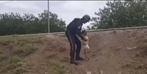 Nueva Esparta: La policía rescata a un bebé que transitaba solo por la calle