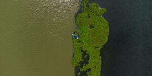 Nuevas reservas de biosfera en Colombia y República Dominicana