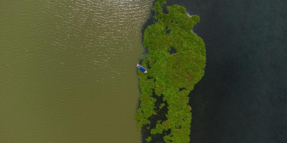 Nuevas reservas de biosfera en Colombia y República Dominicana