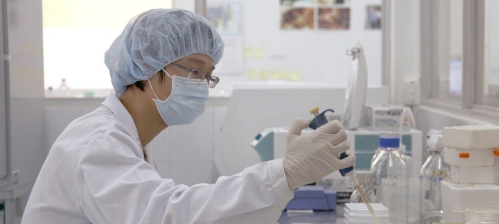 OMS toma la iniciativa para una vacuna contra la gripe aviar