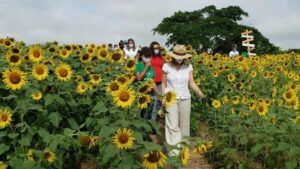 Operadores potencian el agroturismo para atraer turistas a Portuguesa