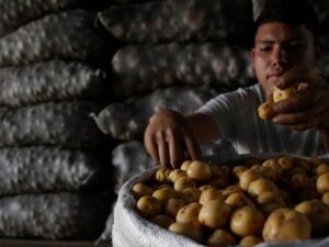 Plan de reactivación económica que prepara el gobierno Petro para Colombia: los ejes del proyecto | Ricardo Bonilla, Minhacienda | Finanzas | Economía