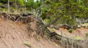 Precipitaciones en Trujillo afectan vialidad en zonas agrícolas