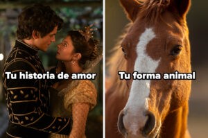 Quiz de personalidad qué animal de Mi Lady Jane serías