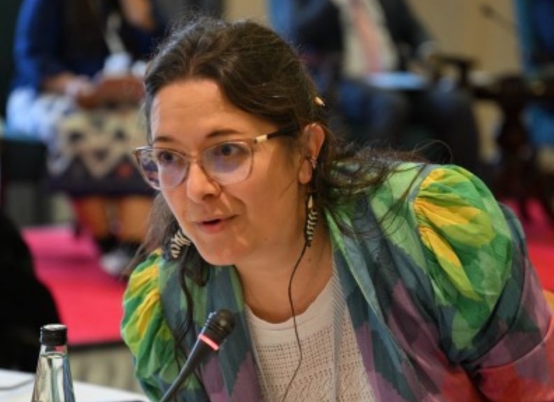 Relatora de la ONU mostró preocupación por clima preelectoral en Venezuela: "Es urgente medidas para facilitar que la ciudadanía vaya a las urnas libremente" - AlbertoNews