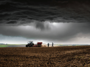 Sectores del agro ya están implementando medidas para mitigar La Niña | Agro | Economía