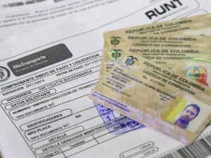 Si olvida la licencia de conducción la puede mostrar en línea, conozca como | Finanzas | Economía