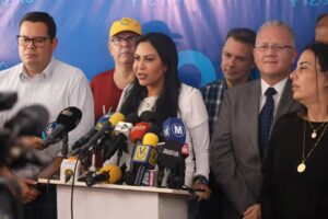 Solórzano: "Ya tenemos el 100 % de las credenciales de nuestros testigos para el 28J"