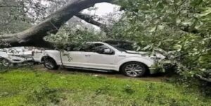 Tormenta tropical Beryl deja cuatro muertos y apagón en Texas