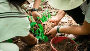abren convocatoria para proyectos eco-amigables