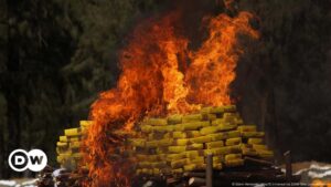 el mayor proveedor de drogas en EE. UU. – DW – 28/07/2024