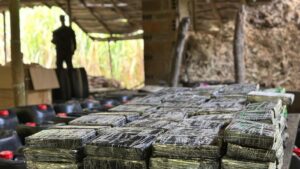 encuentran complejo cocalero del 'clan del Golfo en el Valle de Aburrá