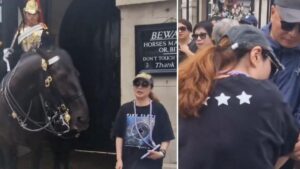 turista fue mordida por un caballo de la Guardia Real británica mientras intentaba tomarse una foto
