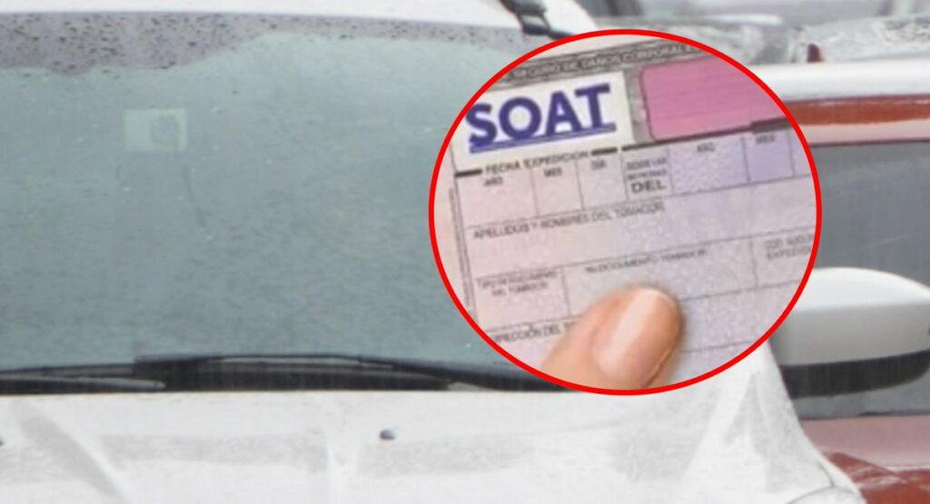 ¿Cuál es el Soat más caro en 2024? Este es el carro que lo debe hacer