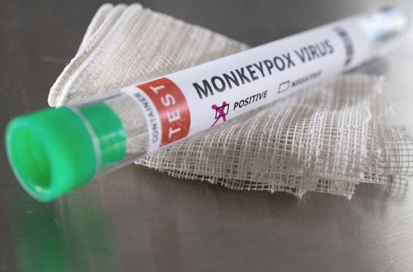¿Cuál es el país de Europa con más casos de Viruela del mono? - AlbertoNews