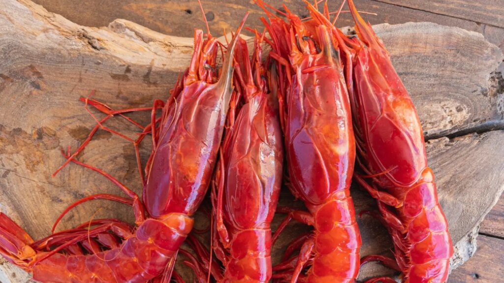 Los mejores restaurantes para comer pescado y marisco en Alicante