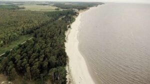 Aguas de Montevideo busca poder apelar el fallo del juez Recarey