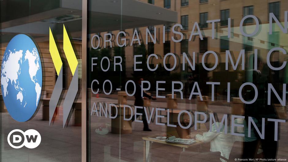 Argentina presentará este año solicitud de ingreso a la OCDE – DW – 31/08/2024