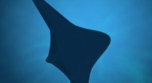 Así es 'Manta Raya', el nuevo dron submarino con el que el Pentágono quiere ganar la guerra en el mar