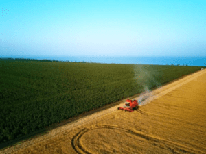 Así fue la radiografía del segundo trimestre para el agro, según Bancolombia | Agro | Economía