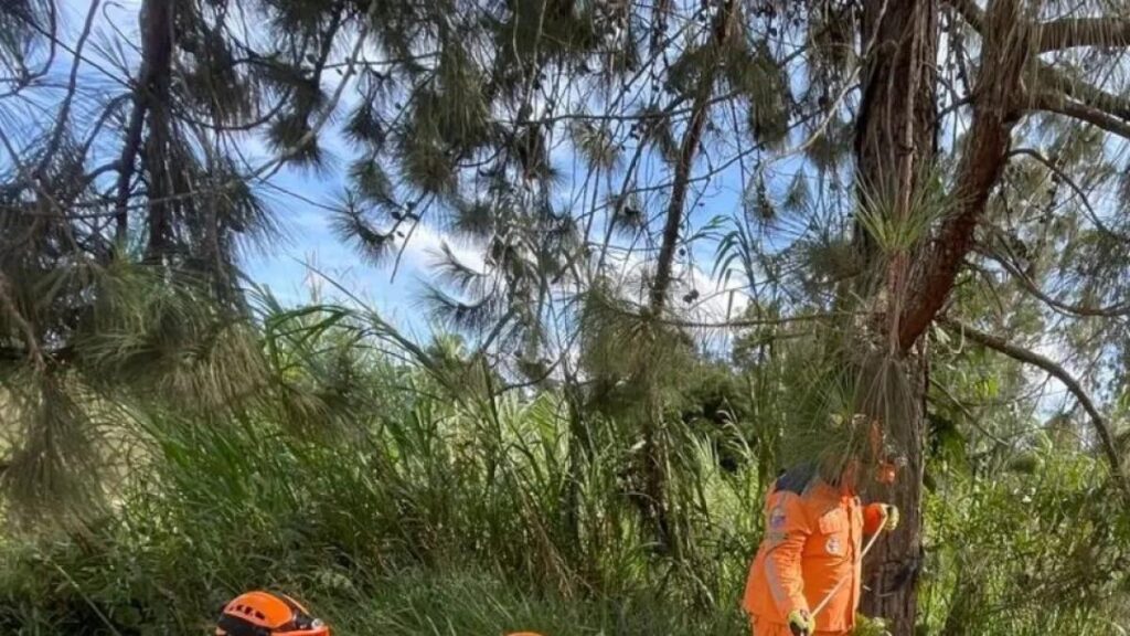 Así va el rescate de un perro que cayó en un abismo en El Santo del Duende, en Piedecuesta, Santander