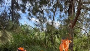 Así va el rescate de un perro que cayó en un abismo en El Santo del Duende, en Piedecuesta, Santander