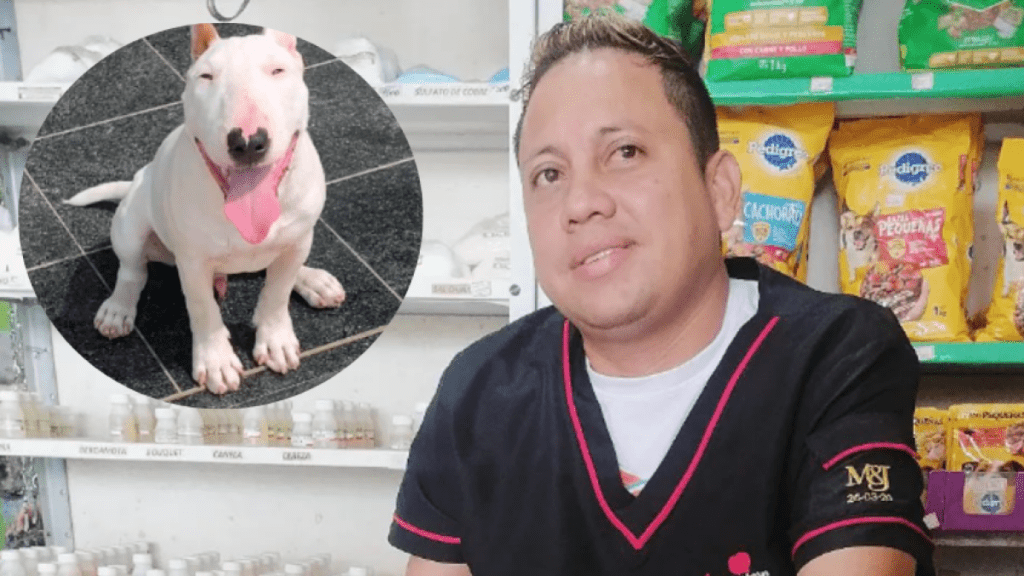 Ataque de Bull Terrier a veterinario : dudas sobre las versiones