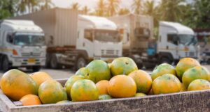 Aumento del diésel (ACPM) provocará despidos y comida será más cara en Colombia