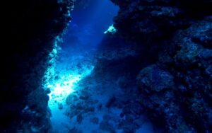 Avalancha submarina devastó el fondo del Atlántico hace casi 60,000 años