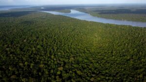 Bolivia y Brasil coordinan plan para sofocar incendios forestales en la Amazonia