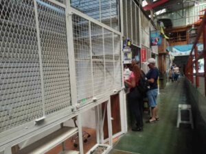 Carniceros esperan abastecimiento