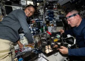 Cómo viven los astronautas atrapados en la Estación Espacial Internacional - AlbertoNews