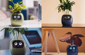Conoce cómo es la maceta inteligente que le da vida a las plantas