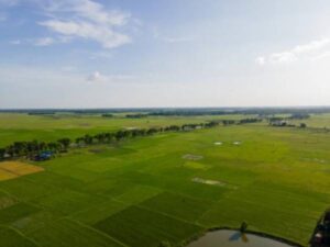 Crecimiento del agro se explica más por precios y costos que por productividad | Agro | Economía