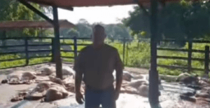 Delincuentes asaltaron la finca Santa María en Machiques