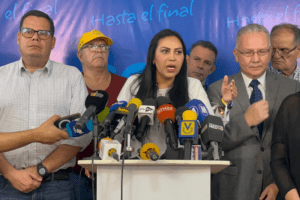 Delsa Solórzano sobre actas de la elección