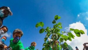 Denuncias por falta de acompañamiento en trabajos de reforestación