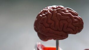 Día Mundial del Cerebro, ¿qué puede dañarlo?