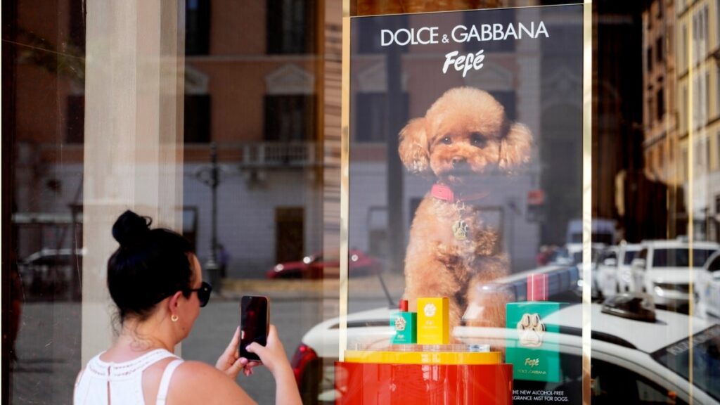 Dolce & Gabbana lanza perfume para perros, pero algunos veterinarios se muestran escépticos