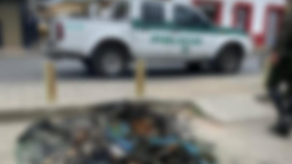 Dolor en Ipiales por macabro hallazgo de una perrita en contenedor de basura