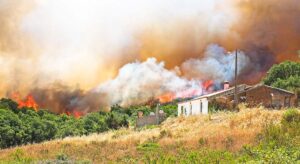 El nuevo gel con partículas de sílice que podría proteger tu casa de un incendio forestal