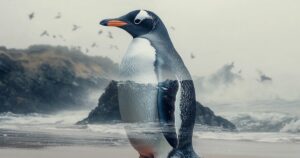 El pingüino más pequeño del mundo ya existía hace 24 millones de años