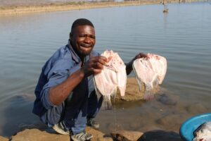 Empoderar a comerciantes informales de África para garantizar la seguridad alimentaria