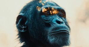 Estos son los únicos primates -aparte de los humanos- que no matan a los de su especie