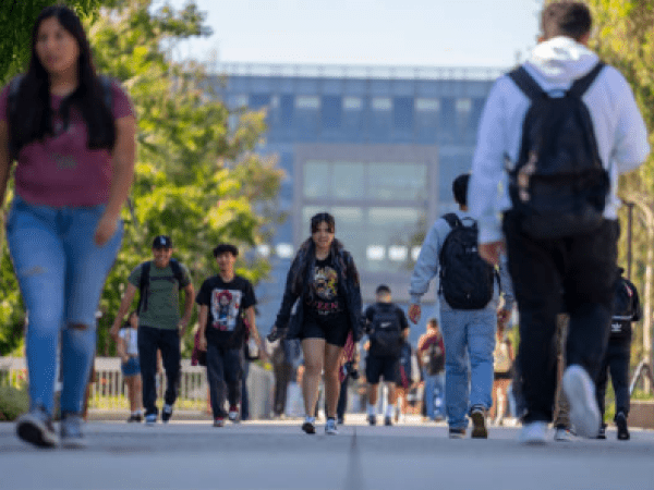 Estudiantes matriculados en educación superior privada bajaron durante el 2023 | Regiones | Economía