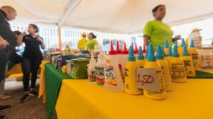 Ferias Alimentarias del Sol venderán útiles escolares desde el sábado 31 de agosto: Descuentos entre el 10 y 20%