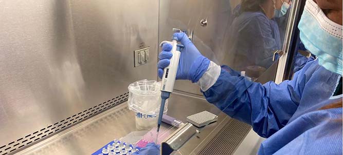 Gobierno activa plan de vigilancia epidemiológica contra la viruela del mono