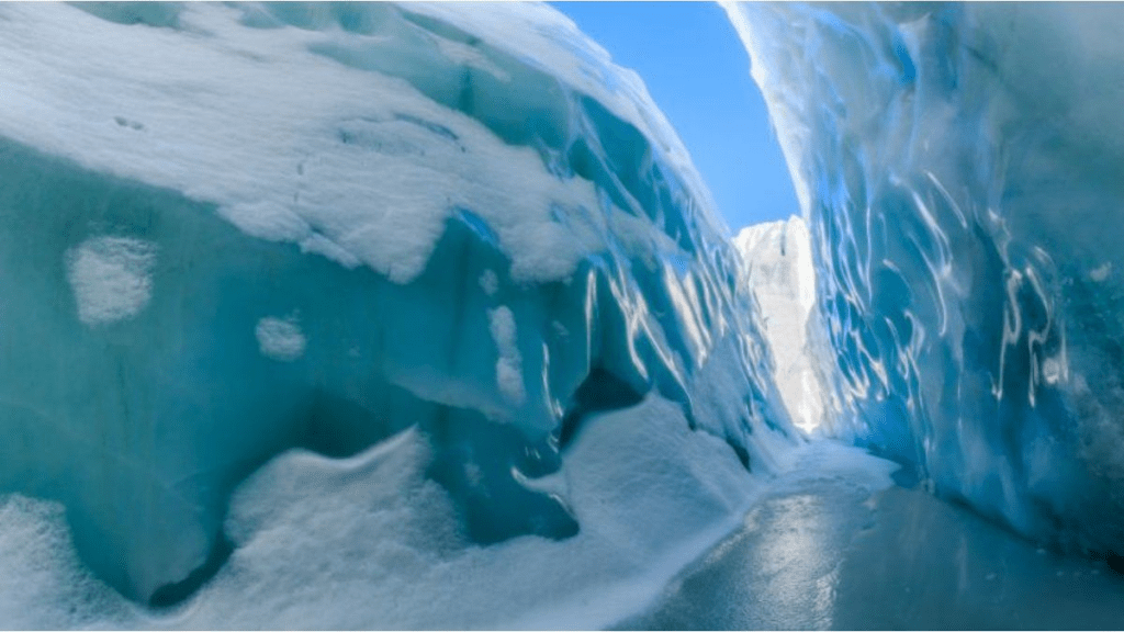 Hallaron más de 1.700 virus prehistóricos congelados en un glaciar