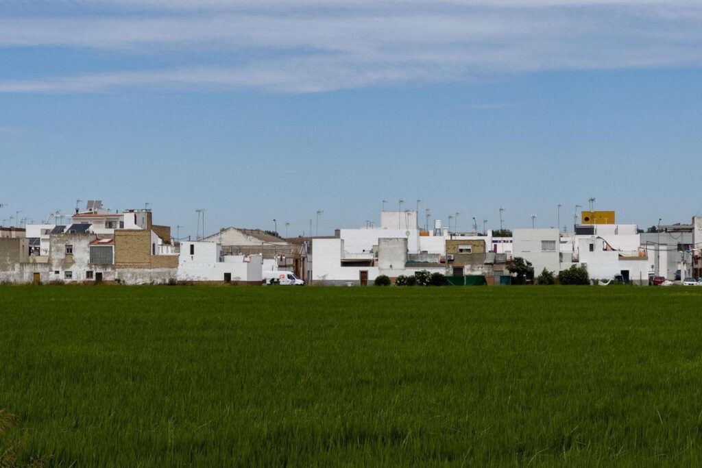 Encerrados por el virus del Nilo: Hay muchos afectados graves a los que no se les hace la prueba