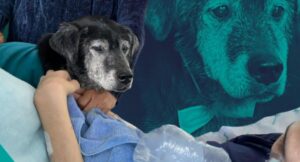 Hombre en Manizales en fase terminal se despidió de su perro: historia viral